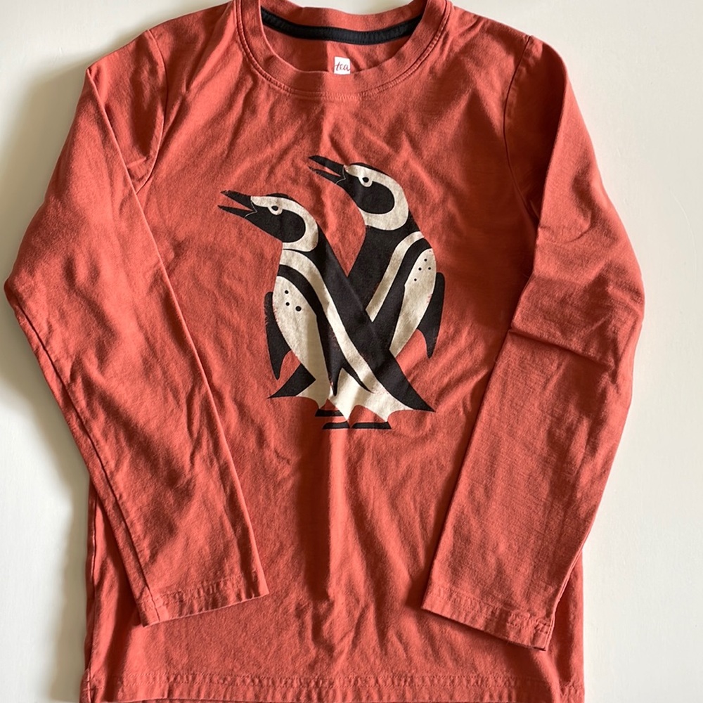 Tea Collection Boys Youth Size 10 Long-Sleeve Tee